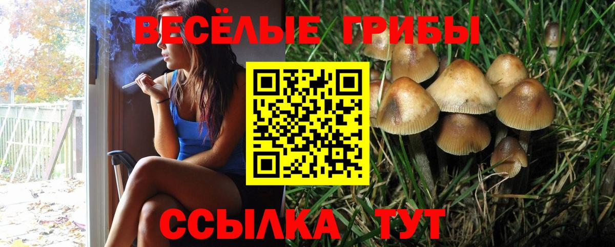Псилоцибиновые грибы мухоморы Улан-Удэ